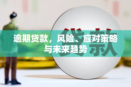 苍南逾期贷款，风险、应对策略与未来趋势