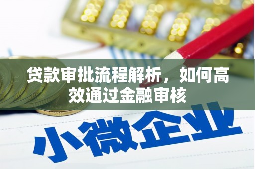 苍南贷款审批流程解析，如何高效通过金融审核