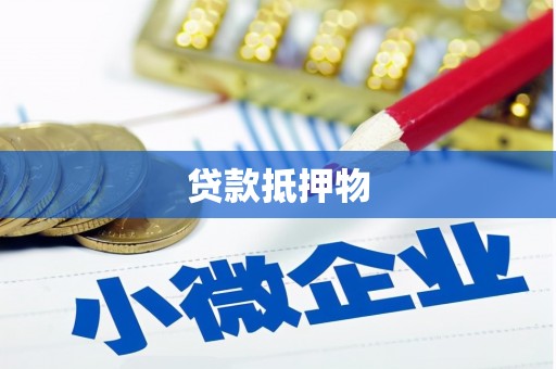 苍南贷款抵押物