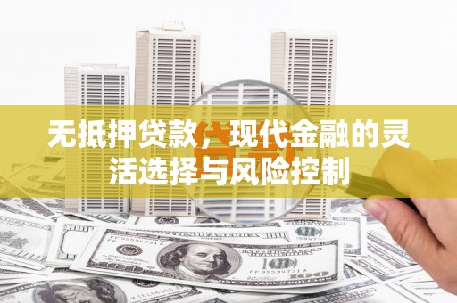苍南无抵押贷款，现代金融的灵活选择与风险控制