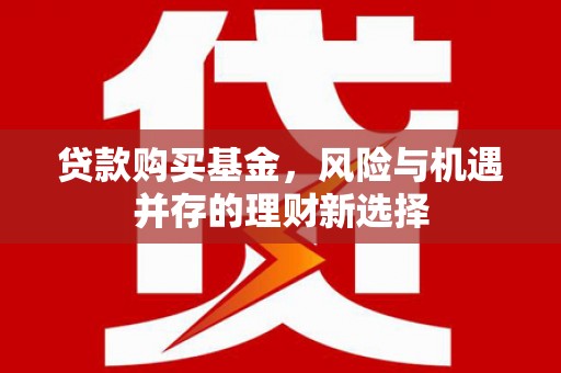 苍南贷款购买基金，风险与机遇并存的理财新选择