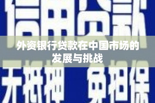 苍南外资银行贷款在中国市场的发展与挑战