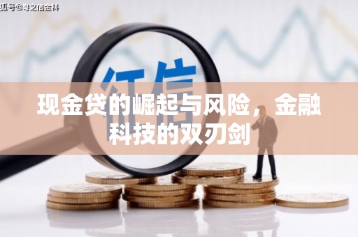 苍南现金贷的崛起与风险，金融科技的双刃剑