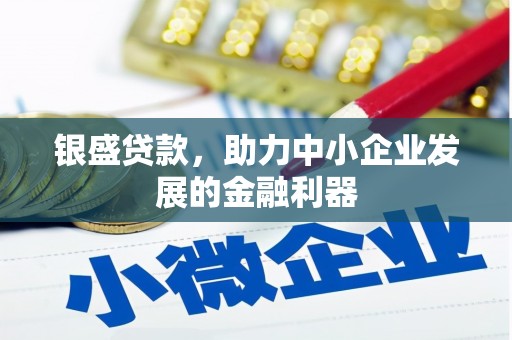 苍南银盛贷款，助力中小企业发展的金融利器