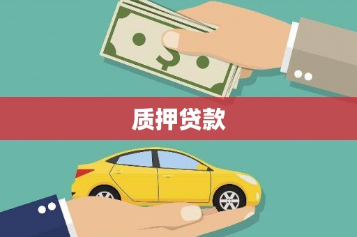 苍南质押贷款