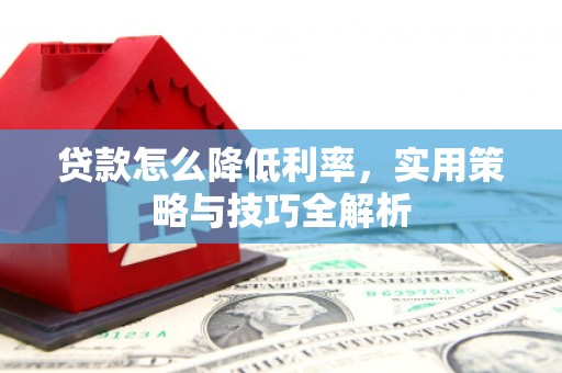 苍南贷款怎么降低利率，实用策略与技巧全解析