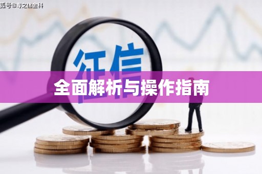 苍南全面解析与操作指南