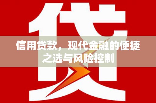 苍南信用贷款，现代金融的便捷之选与风险控制