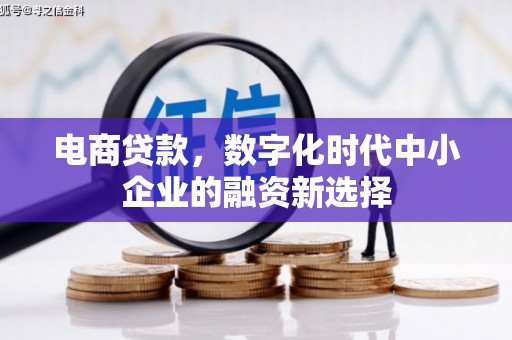 苍南电商贷款，数字化时代中小企业的融资新选择