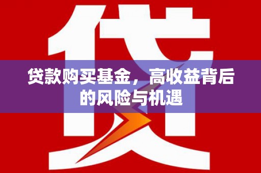 苍南贷款购买基金，高收益背后的风险与机遇