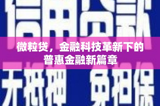 苍南微粒贷，金融科技革新下的普惠金融新篇章
