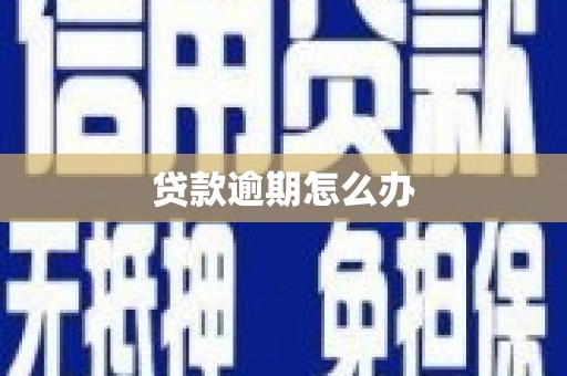 苍南贷款逾期怎么办