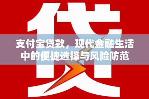 苍南支付宝贷款，现代金融生活中的便捷选择与风险防范