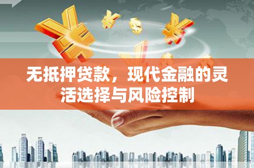 苍南无抵押贷款，现代金融的灵活选择与风险控制