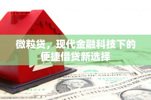 苍南微粒贷，现代金融科技下的便捷借贷新选择