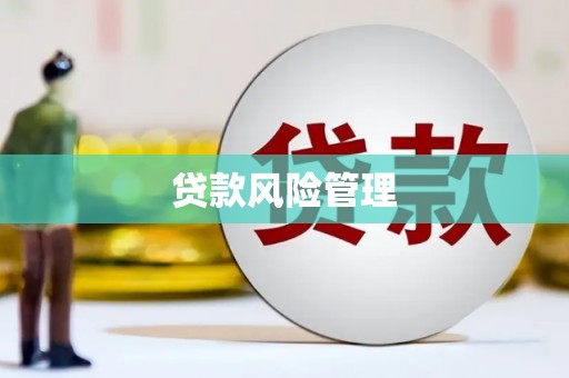 苍南贷款风险管理