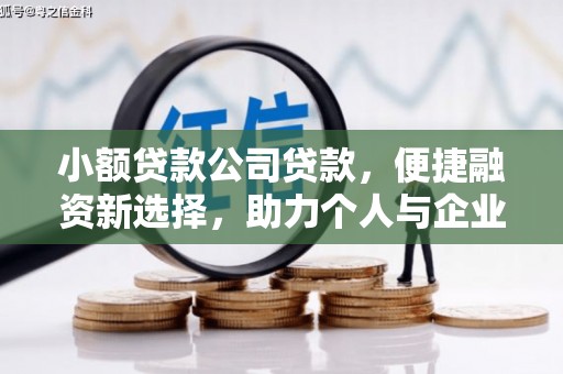 苍南小额贷款公司贷款，便捷融资新选择，助力个人与企业成长