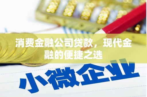苍南消费金融公司贷款，现代金融的便捷之选