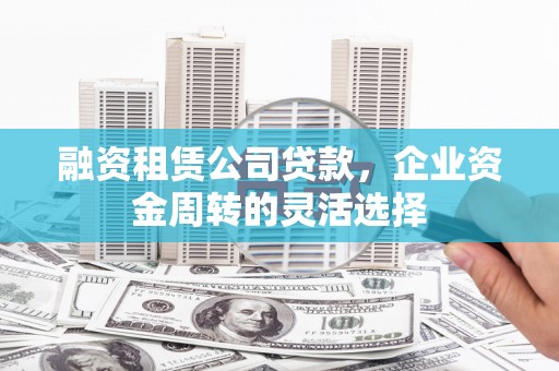 苍南融资租赁公司贷款，企业资金周转的灵活选择