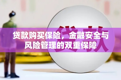苍南贷款购买保险，金融安全与风险管理的双重保障