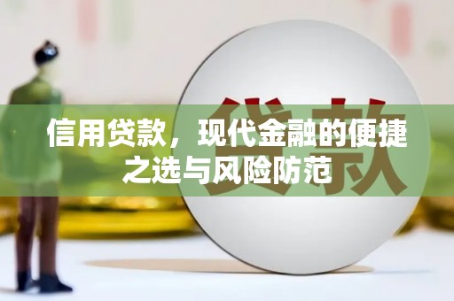 苍南信用贷款，现代金融的便捷之选与风险防范