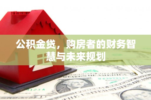 苍南公积金贷，购房者的财务智慧与未来规划