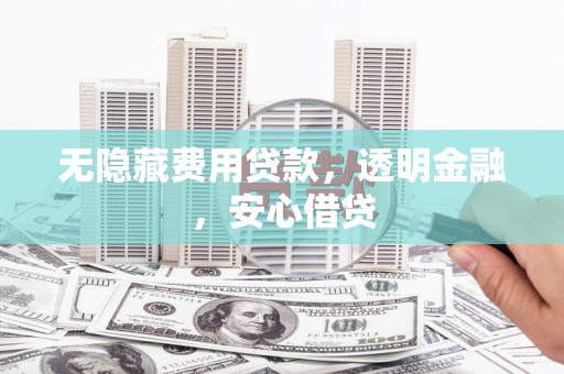 苍南无隐藏费用贷款，透明金融，安心借贷