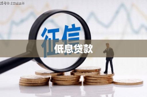 苍南低息贷款
