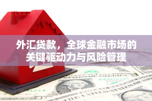 苍南外汇贷款，全球金融市场的关键驱动力与风险管理