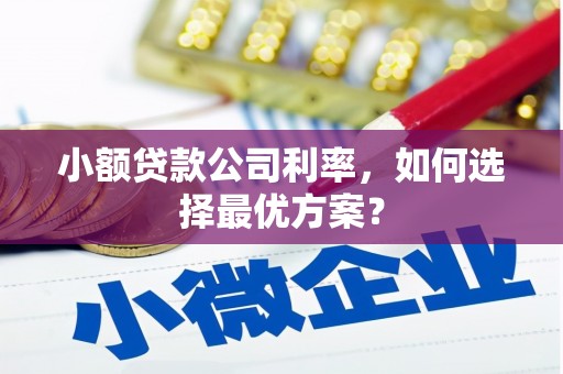 苍南小额贷款公司利率，如何选择最优方案？