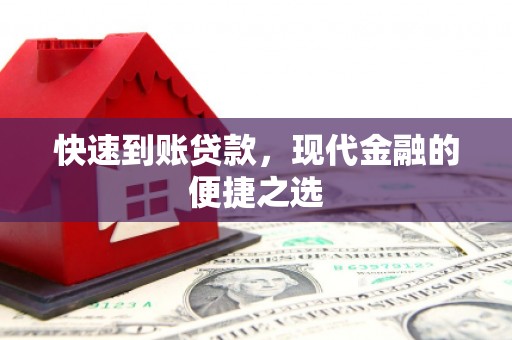 苍南快速到账贷款，现代金融的便捷之选