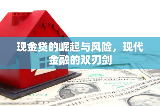 苍南现金贷的崛起与风险，现代金融的双刃剑