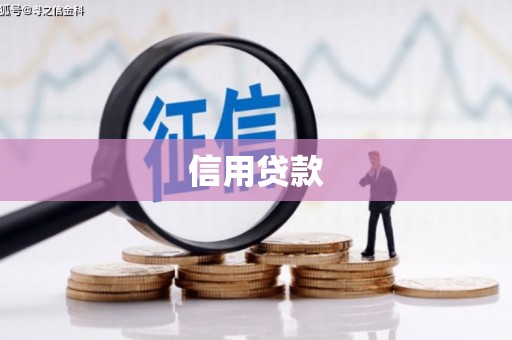苍南信用贷款