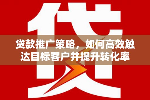 苍南贷款推广策略，如何高效触达目标客户并提升转化率