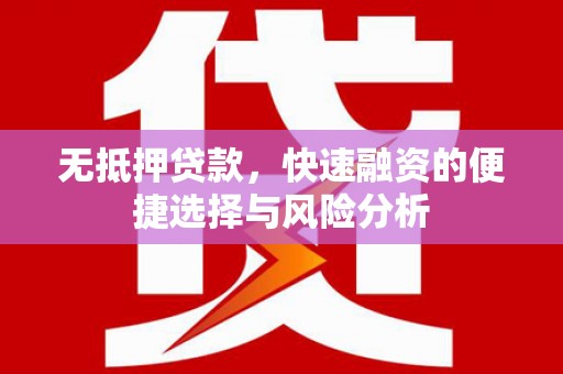 苍南无抵押贷款，快速融资的便捷选择与风险分析