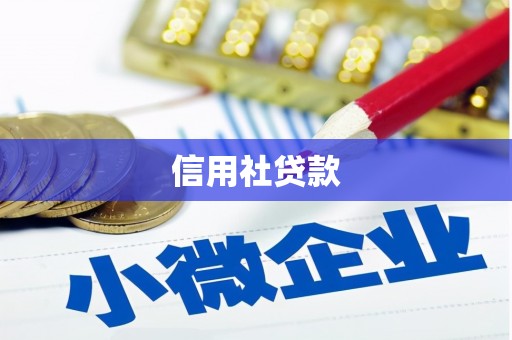 苍南信用社贷款
