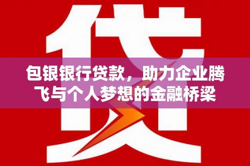 苍南包银银行贷款，助力企业腾飞与个人梦想的金融桥梁