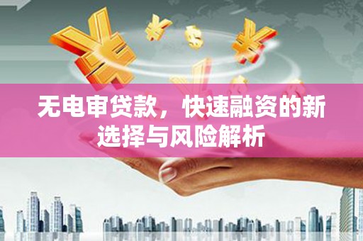 苍南无电审贷款，快速融资的新选择与风险解析
