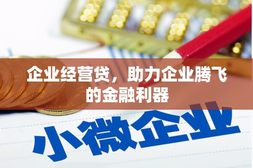 苍南企业经营贷，助力企业腾飞的金融利器