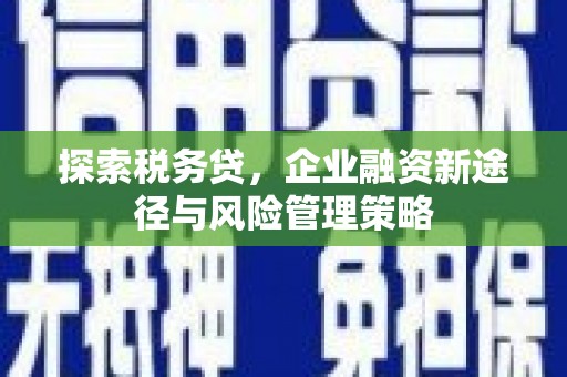 苍南探索税务贷，企业融资新途径与风险管理策略