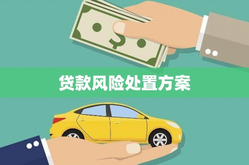 苍南贷款风险处置方案