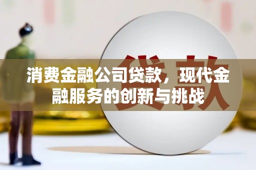 苍南消费金融公司贷款，现代金融服务的创新与挑战