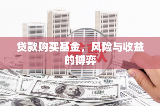 苍南贷款购买基金，风险与收益的博弈