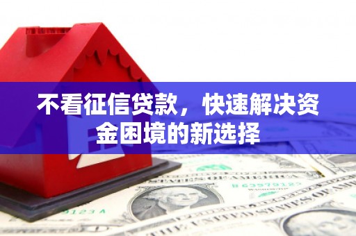 苍南不看征信贷款，快速解决资金困境的新选择
