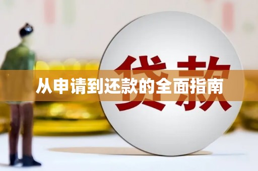 苍南从申请到还款的全面指南