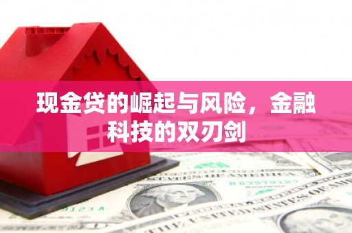 苍南现金贷的崛起与风险，金融科技的双刃剑