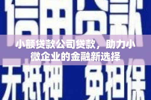 苍南小额贷款公司贷款，助力小微企业的金融新选择