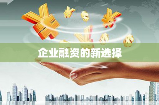 苍南企业融资的新选择