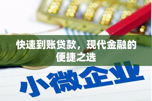 苍南快速到账贷款，现代金融的便捷之选