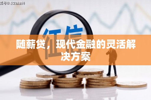 苍南随薪贷，现代金融的灵活解决方案